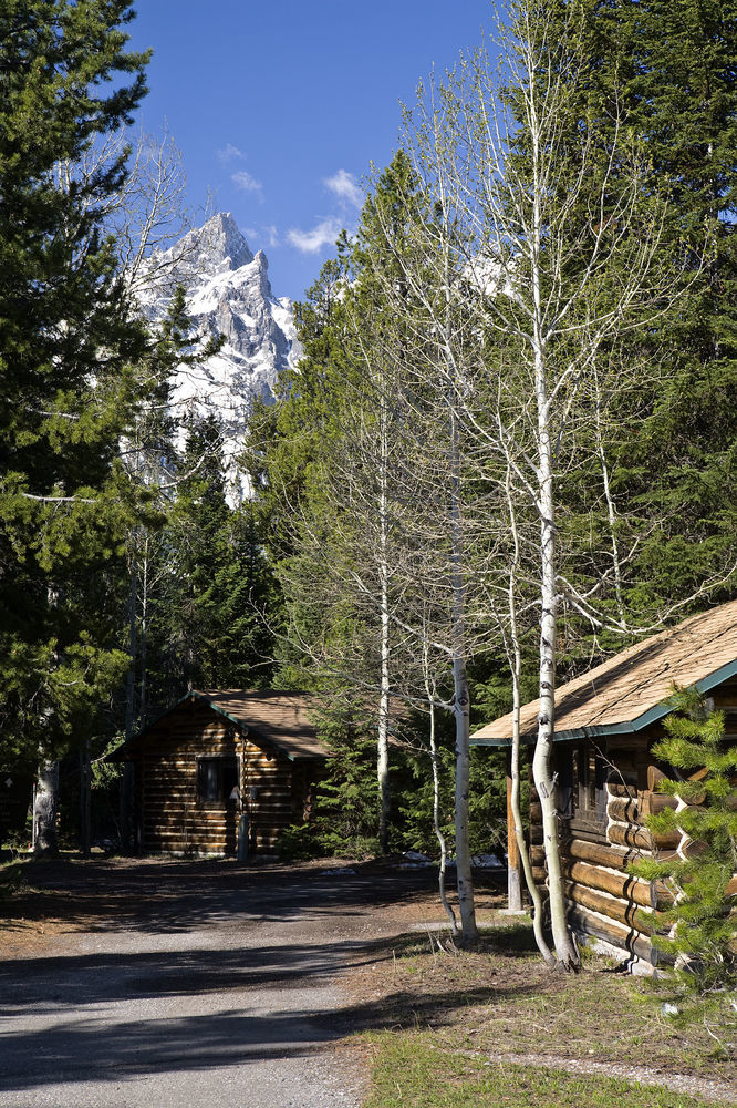 Jenny Lake Lodge Beaver Creek Buitenkant foto